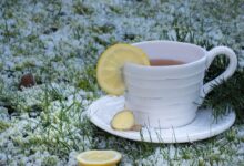kış çayı-okumadangeçme